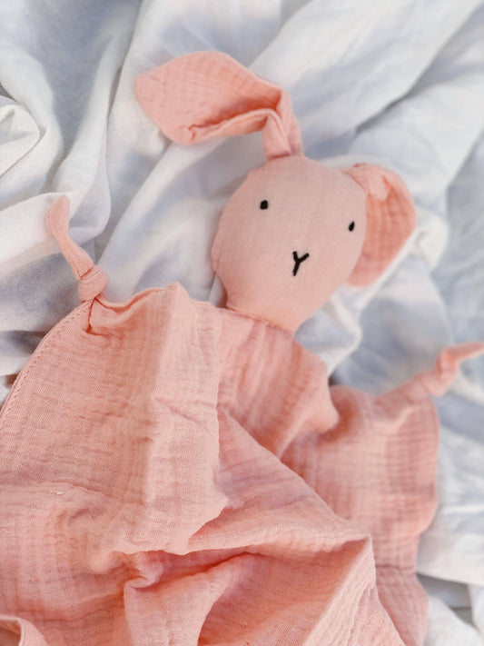 Conejo Dou Dou Rosa! - contigosoy